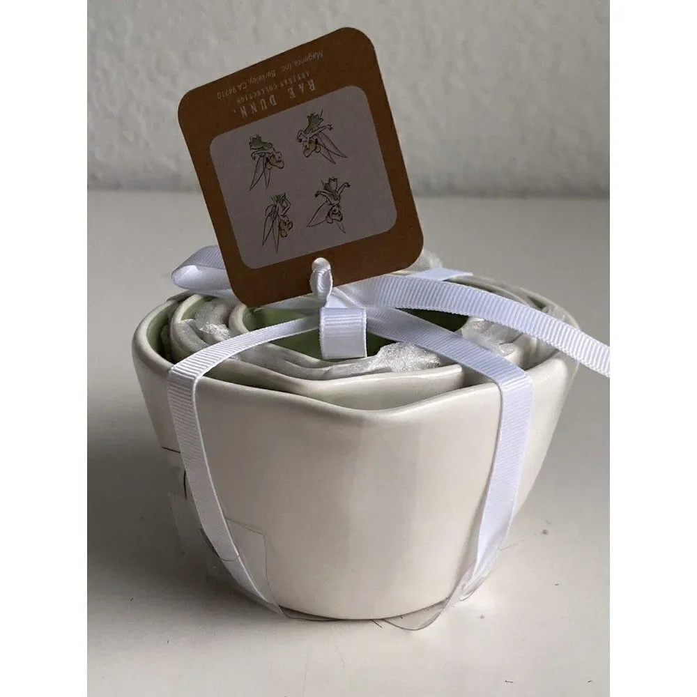 Set Of 4 Rae Dunn Disney Green Tinkerbell Measuring Cups Ceramic With Handle NEW